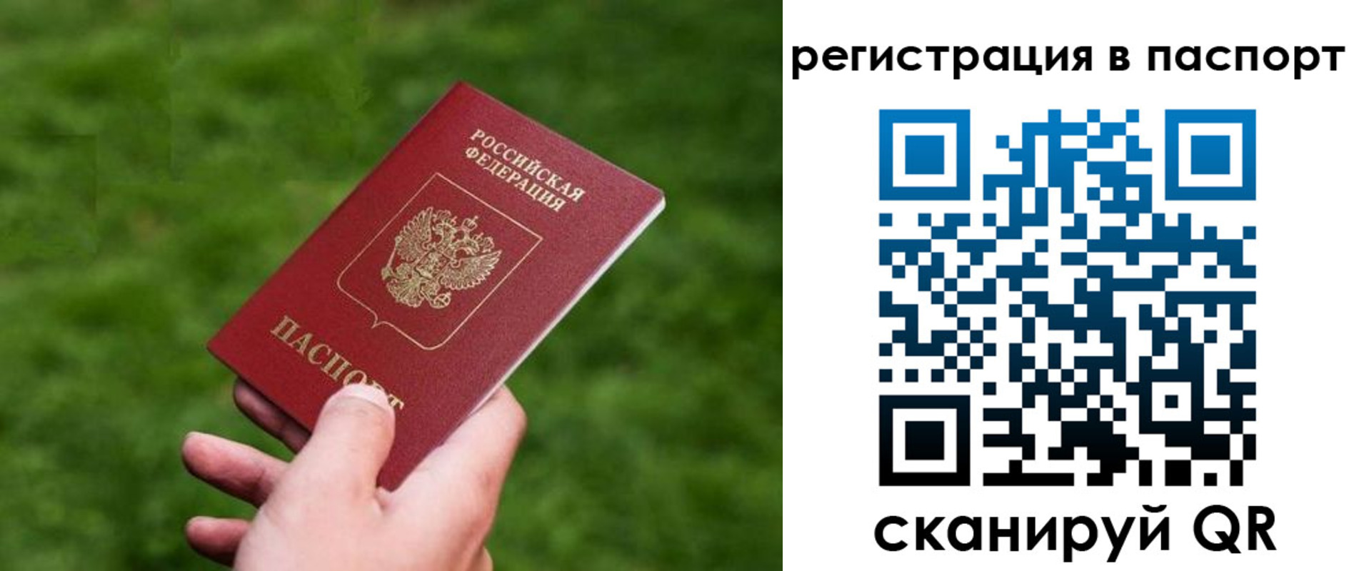 пропишу в квартире в Всеволожске
